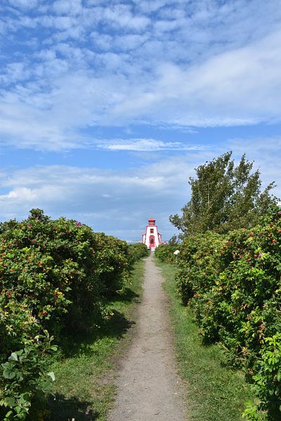 The little lighthouse in summer by Claude Laprise