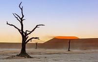 Windy Deadvlei