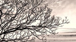 Herbst Baum