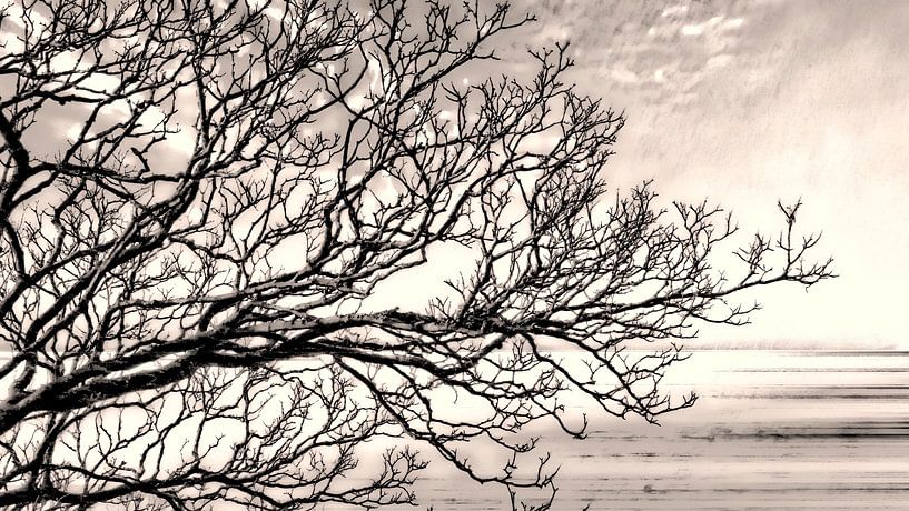 Autumn tree by Mad Dog Art