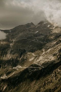 Zwitserland 4