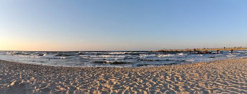 Meeuwen op het noordelijk strand in Göhren, eiland Rügen