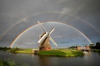 großer Doppelregenbogen über holländischer Windmühle im Sommerregen von Olha Rohulya Miniaturansicht