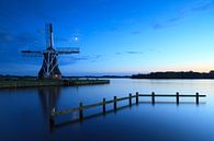 Blauw & molen van Sander van der Werf thumbnail