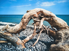DOOD HOUT-OBJECT