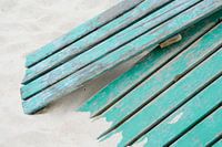Wood on the beach