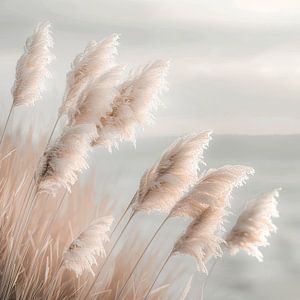 Poesie am Meer – Pampasgras im Fokus