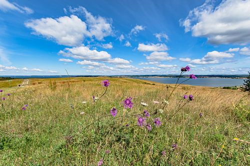 Groß Zicker, Blick in die Hagensche Wiek und Reedevitzer Höft, Rügen