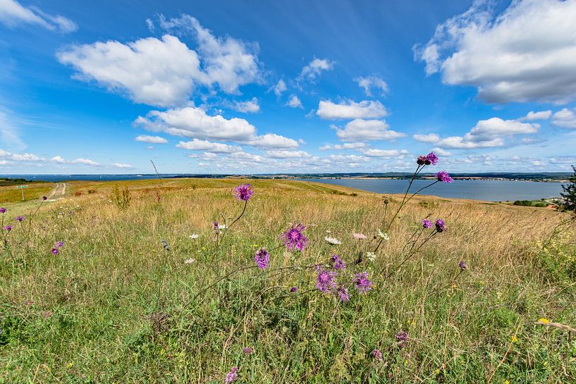 Groß Zicker, Blick in die Hagensche Wiek und Reedevitzer Höft, Rügen von GH Foto & Artdesign