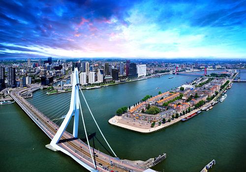 Spectacular view over the Erasmus Bridge in Rotterdam