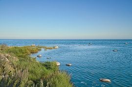 Küstenlandschaft mit Meer und Büschen unter blauem Himmel von Martin Köbsch
