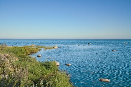 Kustlandschap met zee en struiken onder een blauwe hemel