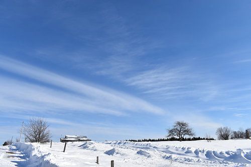 A snowy field under a blue sky