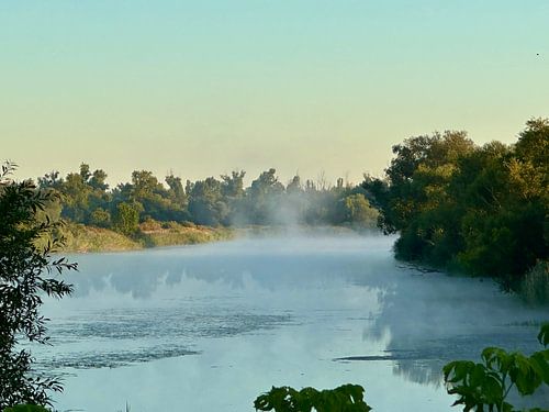 A mist-shrouded river in the morning light