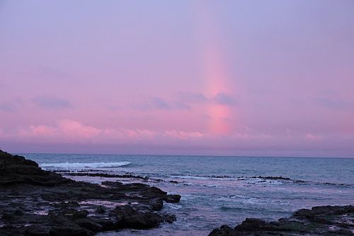 Regenboog tijdens zonsondergang bij Curio Bay in Nieuw Zeeland
