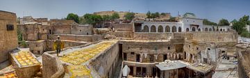 Fez tannery