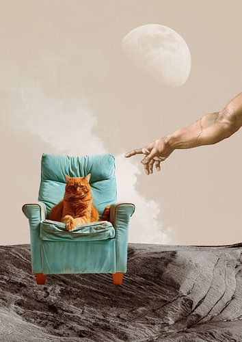Niet aanraken van Daniel Donocik