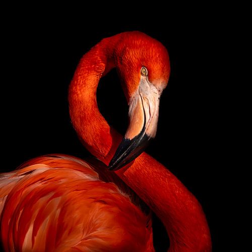 Dame en rouge sur Hennie Zeij