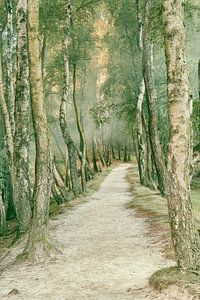 Posbank Trail