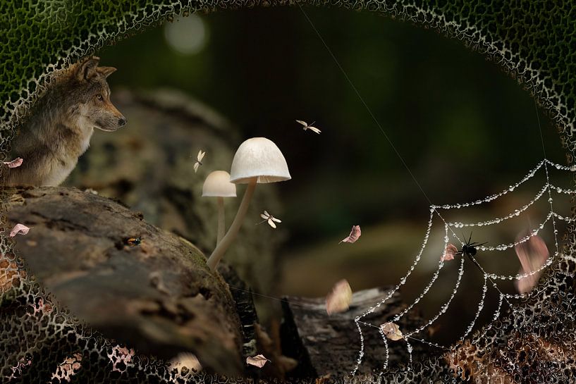 The fantasy forest by Carla van Zomeren