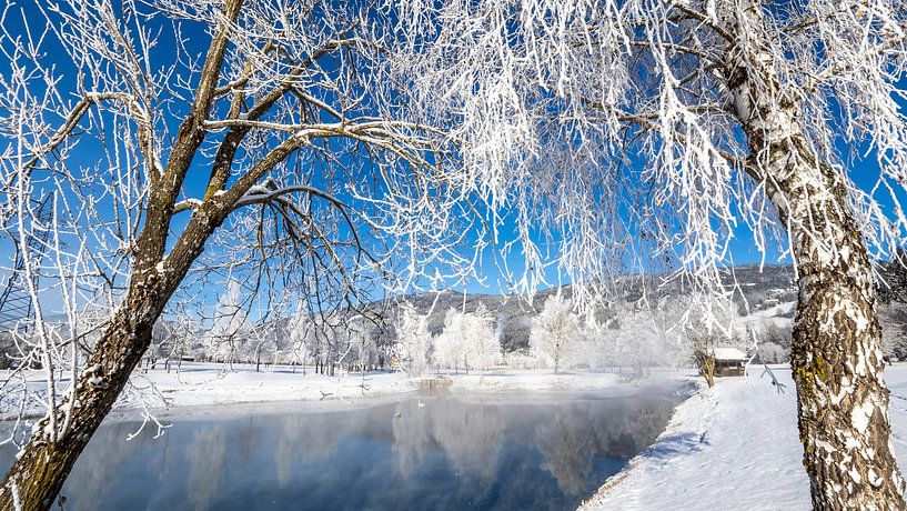 A snow curtain by Christa Kramer