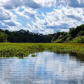 The Openness of Water and Sky by Piret Victoria Ribas Art & Photography