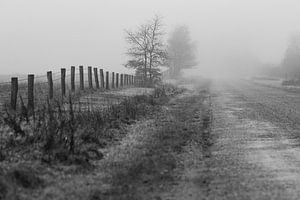 Nebel von Mariette Kranenburg