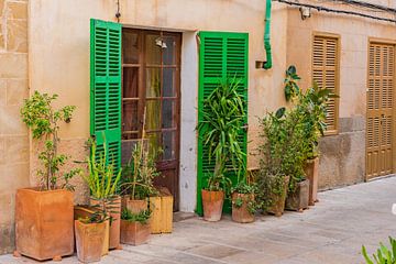 Typisches mediterranes Haus mit Blumenkübeln in der Altstadt von Alcudia, Mallorca Spanien von Alex Winter