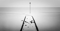 A breakwater on Vlieland in Black and White by Henk Meijer Photography thumbnail