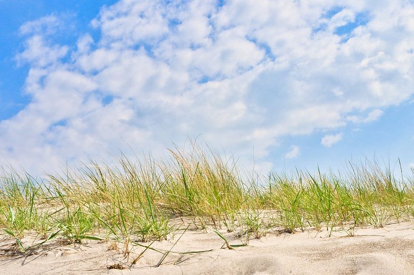Op het Oostzeestrand met duinen van Martin Köbsch