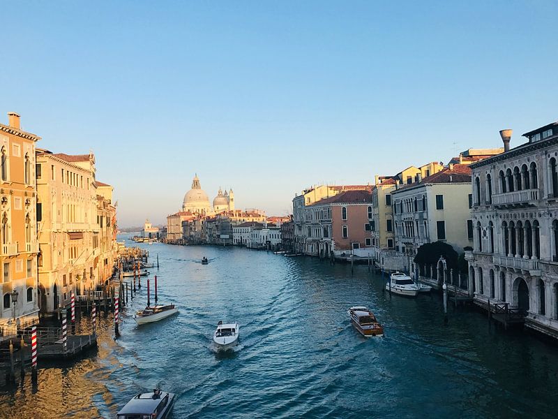 Venice by Hello Pompoyo