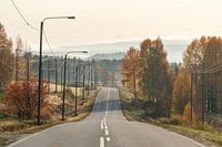 Empty road through autumn landscape.