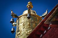 Tibet van Dennis Timmer thumbnail
