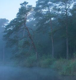 Misty Sunrise at Dwingelderveld – Drenthe (Netherlands) by Marcel Kerdijk
