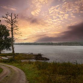 Zweedse meer Västra Fågelvik met wonderschone lucht van Mart Houtman