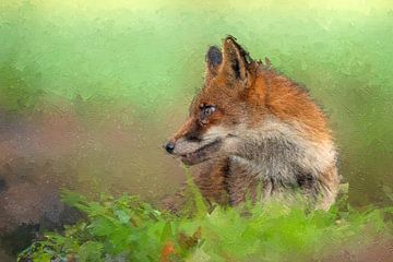 Schönes Porträt eines Fuchses in der Natur. Wie ein Gemälde durch den aufgetragenen Ölfarbeffekt. von Gianni Argese