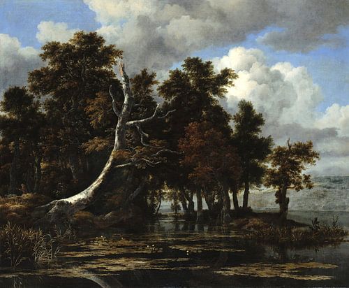 Jacob van Ruisdael. Eiken bij een meer met waterlelies