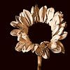 Sonnenblume ( Druck ) in sepia. von Jose Lok