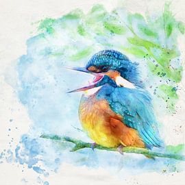 Funny kingfisher by Silvio Schoisswohl