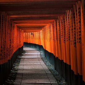 Torii of Fushimi Inari Taisha by Maarten Mensink