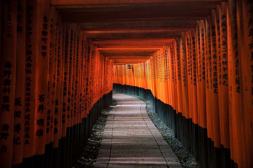 Torii of Fushimi Inari Taisha von Maarten Mensink