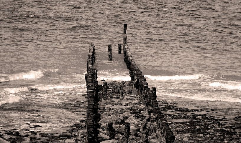 Old pile head by foto by rob spruit