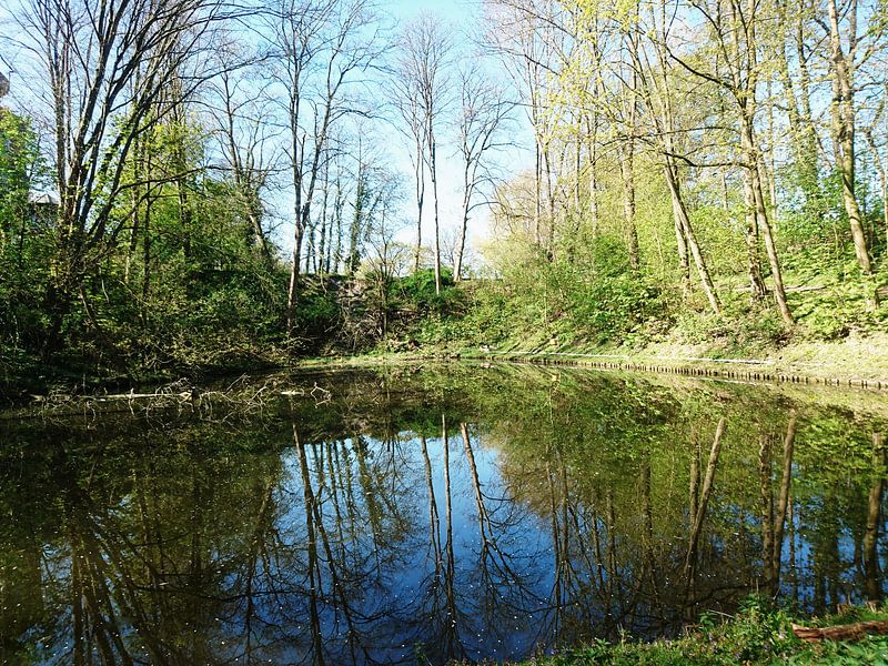 Natuur weerspiegeling water van Nicole Maessen
