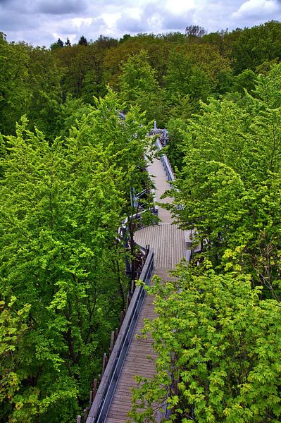 Pfad 15 van Edgar Schermaul