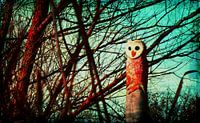 Wood owl van Roswitha Lorz thumbnail