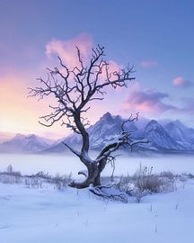 Peace and quiet by the tree