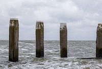 Aanloophaven van Vlieland
