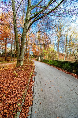 Baden-Württemberg : De Weg