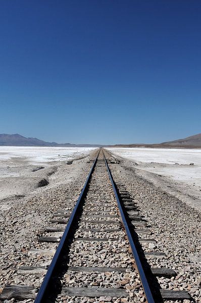 Endless horizons on Salar Chiguana by Frank Photos