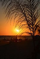 Coucher de soleil sur la plage d'Herzlyia